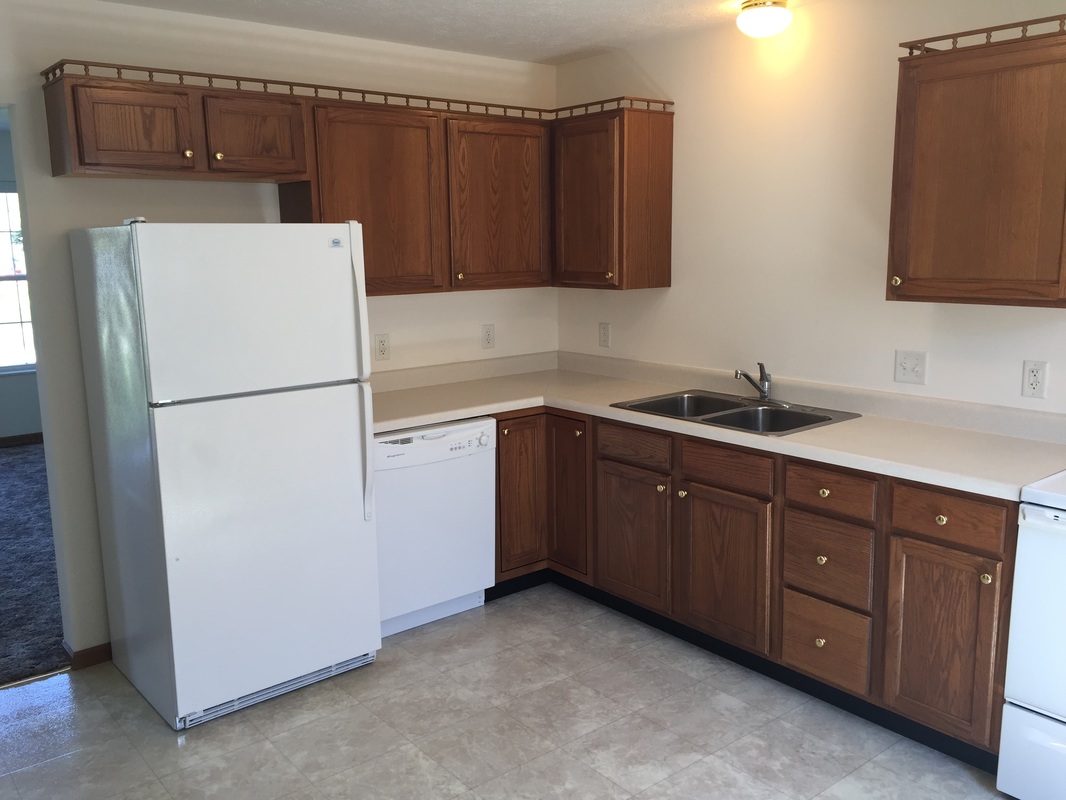 Kitchen refrigerator and dish washer in 300 Place Town Home